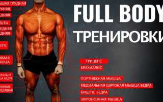 Full body и сплиты: как правильно составить программу силовых тренировок