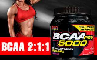 BCAA Pro 5000 от SAN