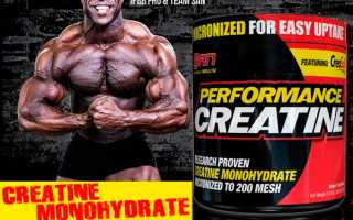 Performance Creatine от San