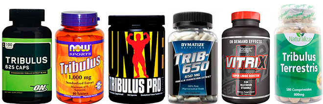 Tribulus