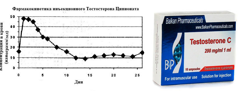 Тестостерон ципионат