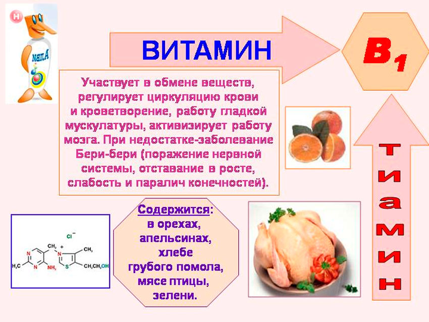 Функции витамина B1 