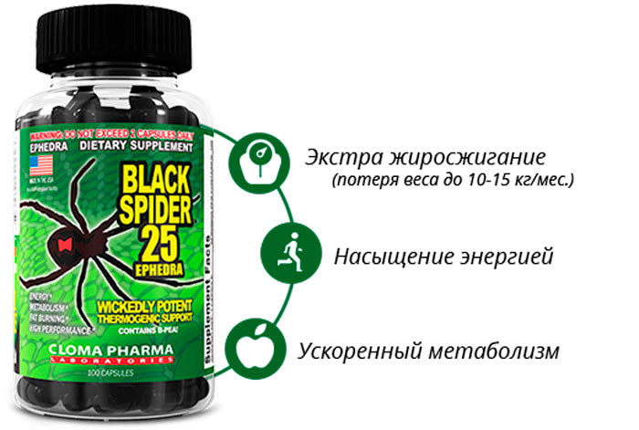 Как правильно принимать Black Spider