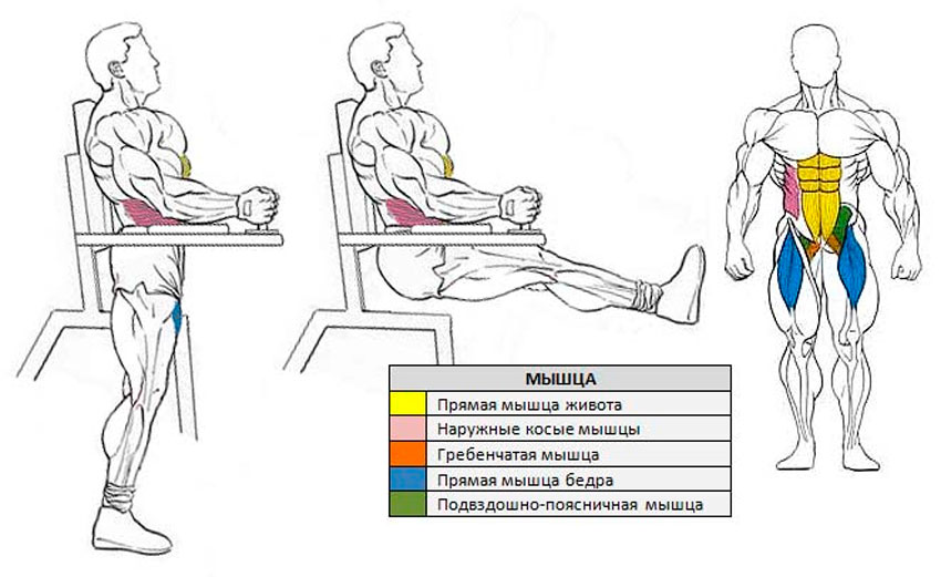 Анатомия упражнения